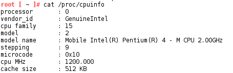 cat /proc/cpu