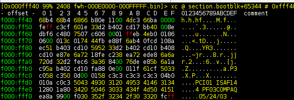 radade BIOS disasm 1